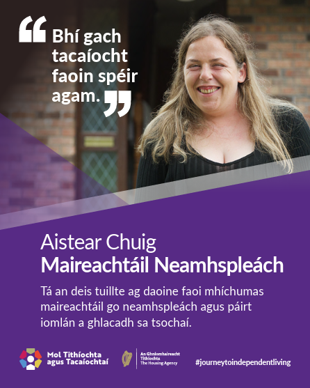 Anne Marie Irish Poster